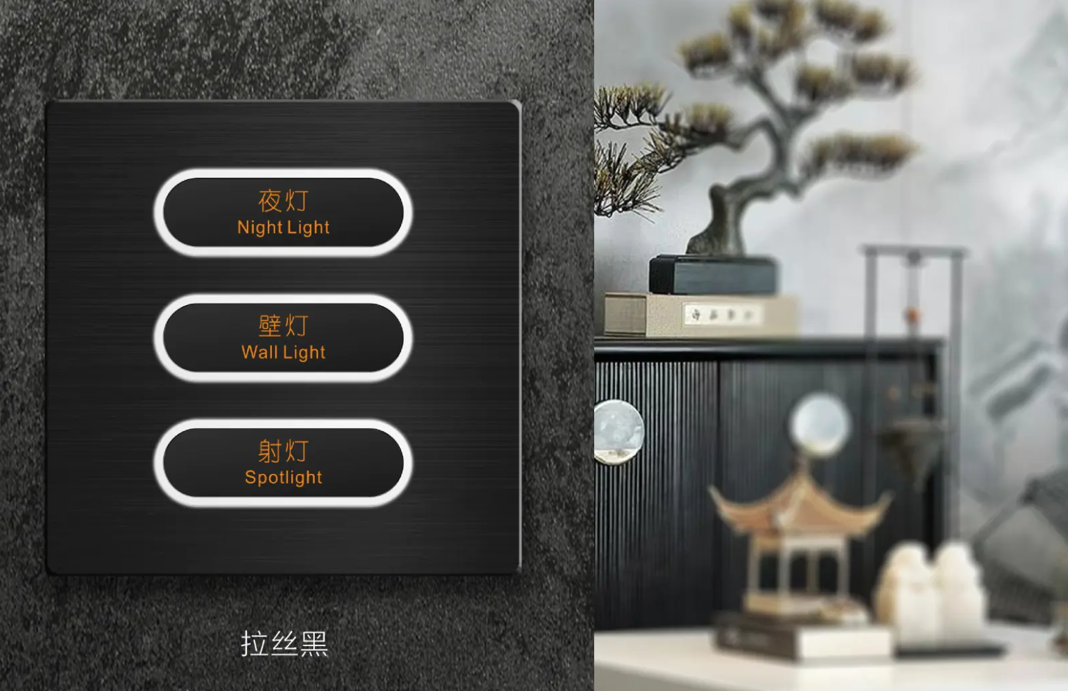 V8-Z8-LT系列全新上市|引|领复古美学潮流!